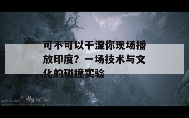 可不可以干湿你现场播放印度？一场技术与文化的碰撞实验