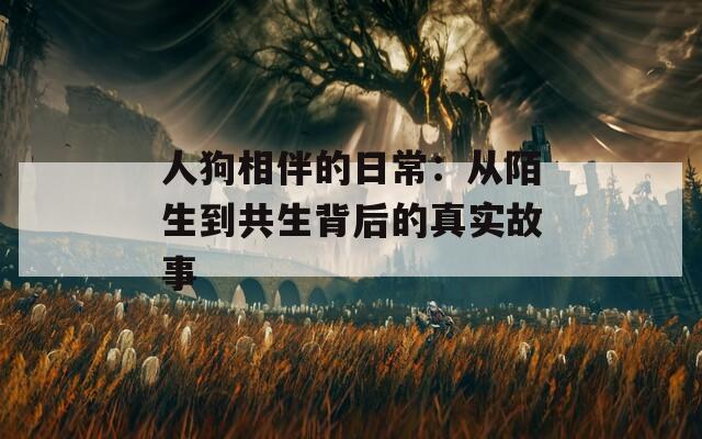 人狗相伴的日常：从陌生到共生背后的真实故事