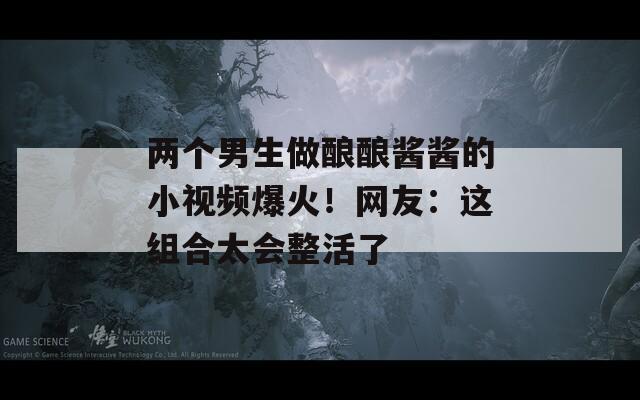 两个男生做酿酿酱酱的小视频爆火！网友：这组合太会整活了